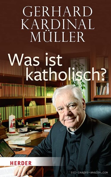 Was hat Kardinal Müller gesagt? Analysen zur Kritik an der Kirchenreform