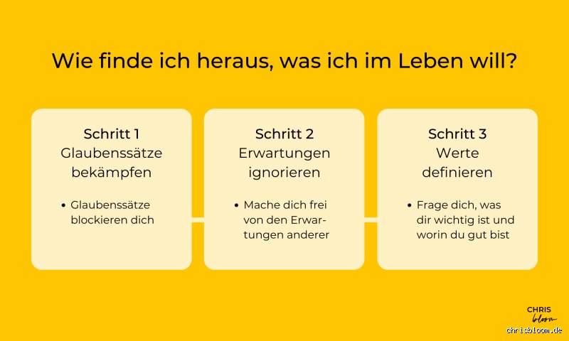 Was suchen wir im Leben?