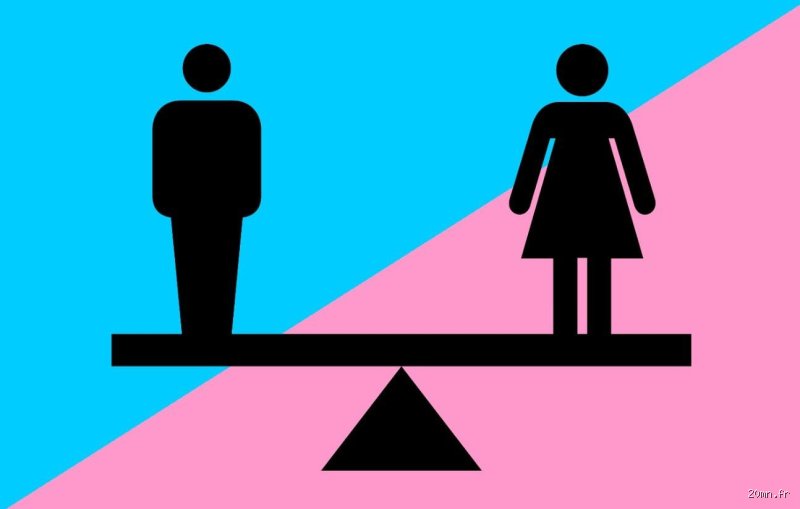 Pourquoi l'égalité ne sera-t-elle jamais atteinte ? Entre utopie mathématique et réalité biologique du désordre social