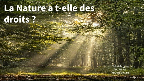 Pourquoi la nature n'a pas de droit ?