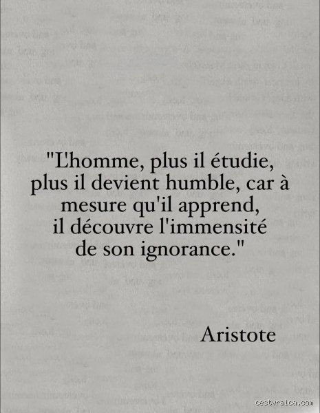 Qu'a dit Aristote à propos de Dieu ? Voyage au cœur du Premier Moteur immobile et de la pensée pure