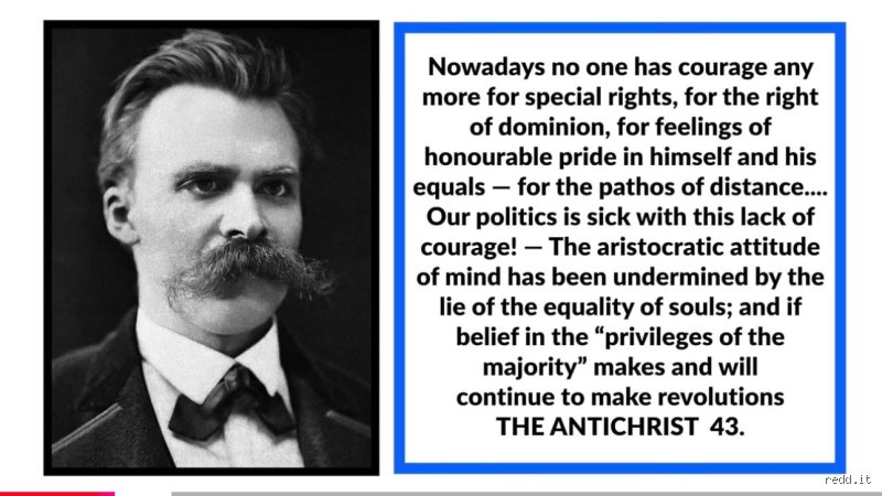 Que pensait Nietzsche de l'égalité ? Anatomie d'une allergie viscérale au troupeau et à la morale du ressentiment