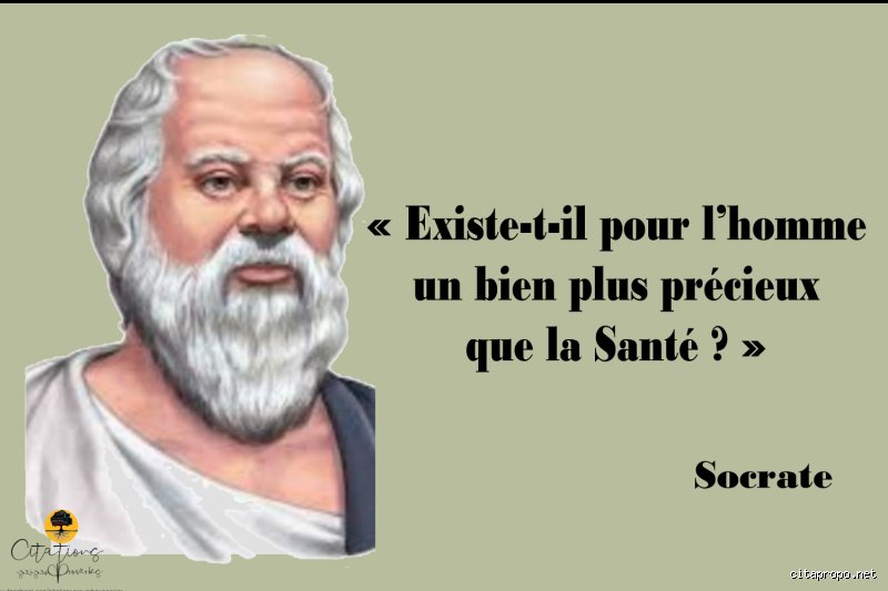 Dévoiler la plus belle citation de Socrate : Quand la sagesse antique défie le jugement moderne
