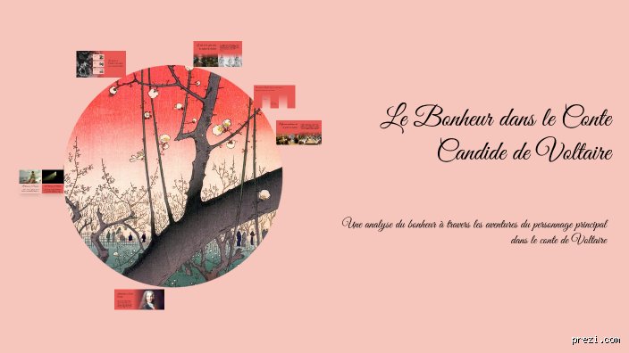 Quel est le bonheur de Candide ?