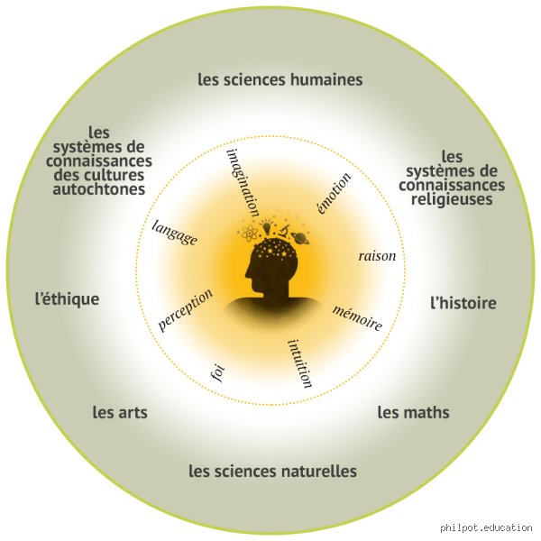 Quelles sont les différentes théories de la connaissance ? Enquête au cœur des rouages de l'esprit humain