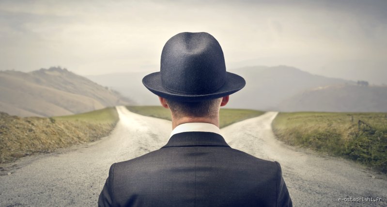 Qui a le libre arbitre ?