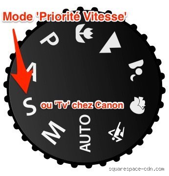 Dans quel mode dois-je régler ma caméra pour obtenir des clichés d'exception sans s'emmêler les pinceaux ?