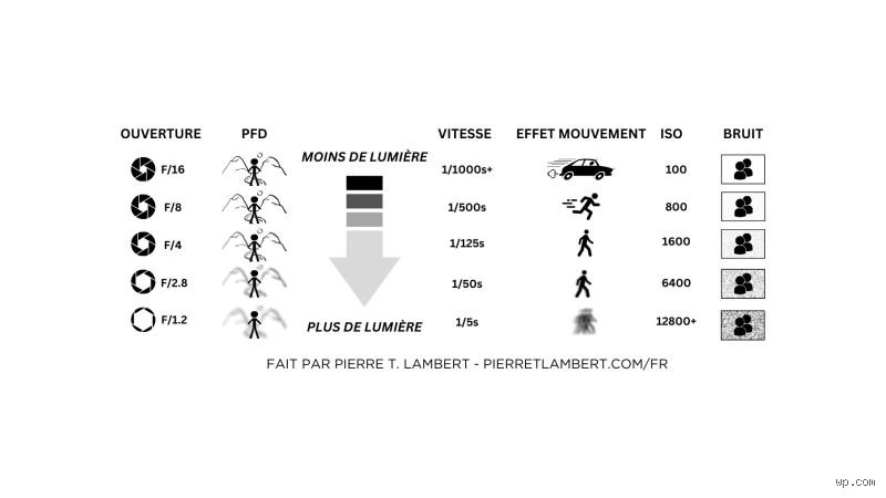 Qu'est-ce que la règle du 50/50 en photographie et comment transformer vos compositions banales en clichés percutants ?
