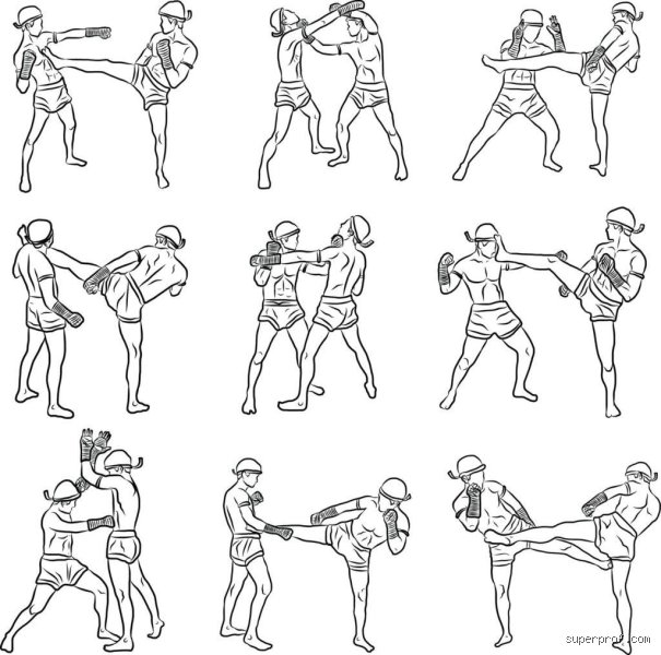 Qu'est-ce que la boxe apprend ?