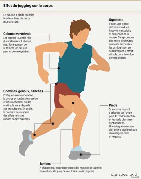 Quand Voit-on les effets de la course à pied ? La vérité sur l'attente et la réalité physique