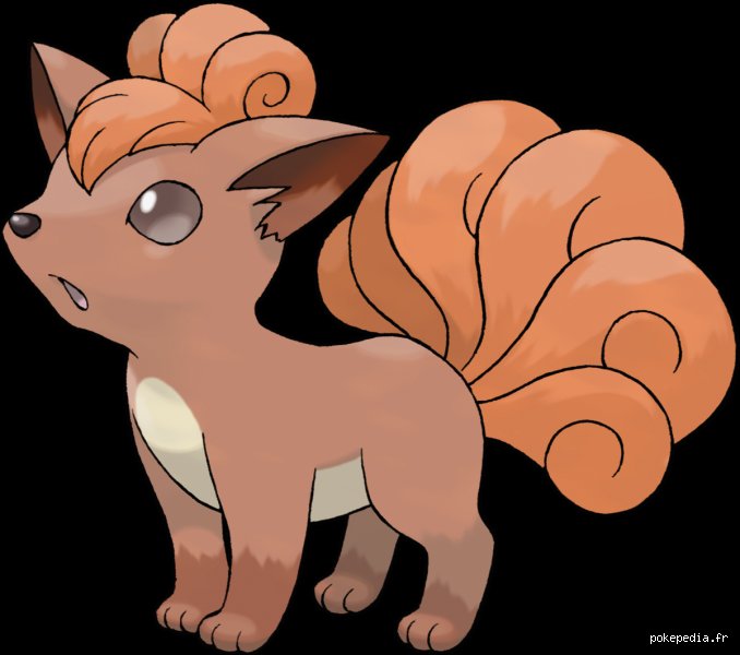 Quel animal est Goupix ?