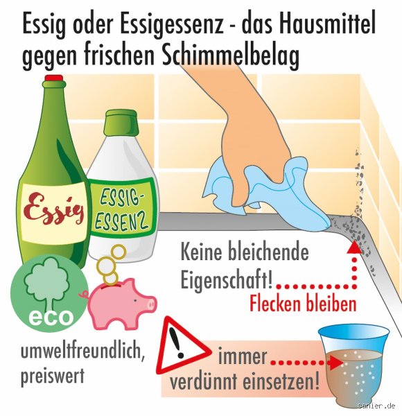 Kann man mit Essigessenz Schimmel entfernen und welche Risiken lauern im Altbau?