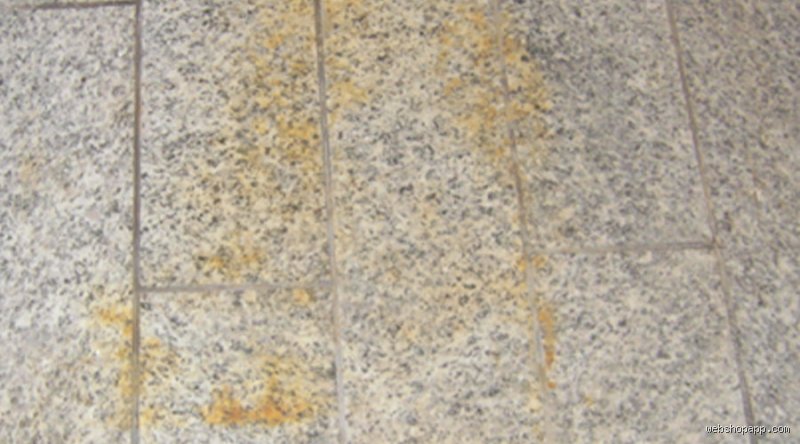 Kann Naturstein rosten? Wenn die Terrasse plötzlich orange wird und teurer Granit unschöne Flecken bekommt