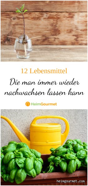Kann Öl nachwachsen? Die ehrliche Antwort auf Wiederverwendung und Ressourcen
