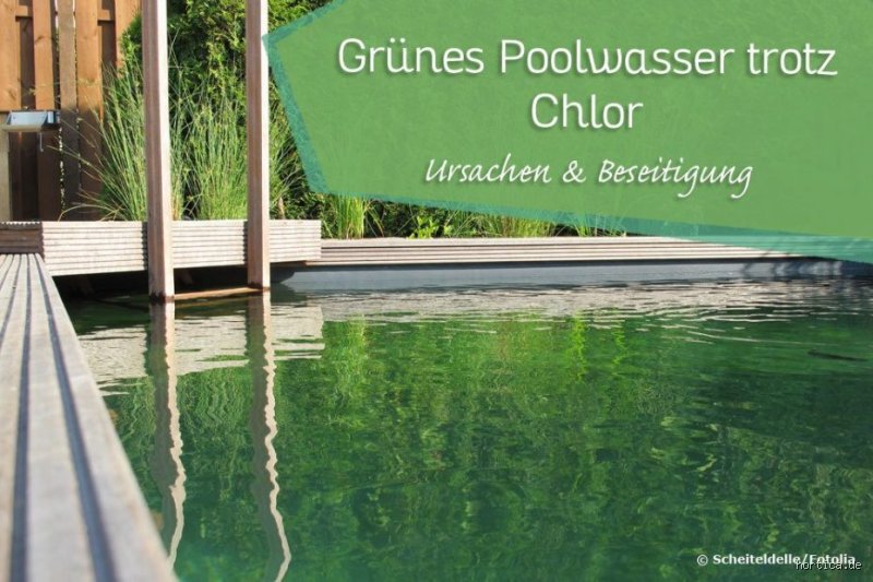 Warum wird mein Pool trotz Pumpe und Chlor grün?