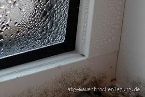 Was passiert wenn man zu wenig lüftet: Die unsichtbare Gefahr im eigenen Wohnzimmer