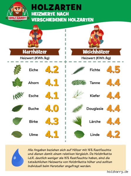 Welches Holz hat den besten Heizwert? Der große Vergleich zwischen Buche, Eiche und überraschenden Alternativen