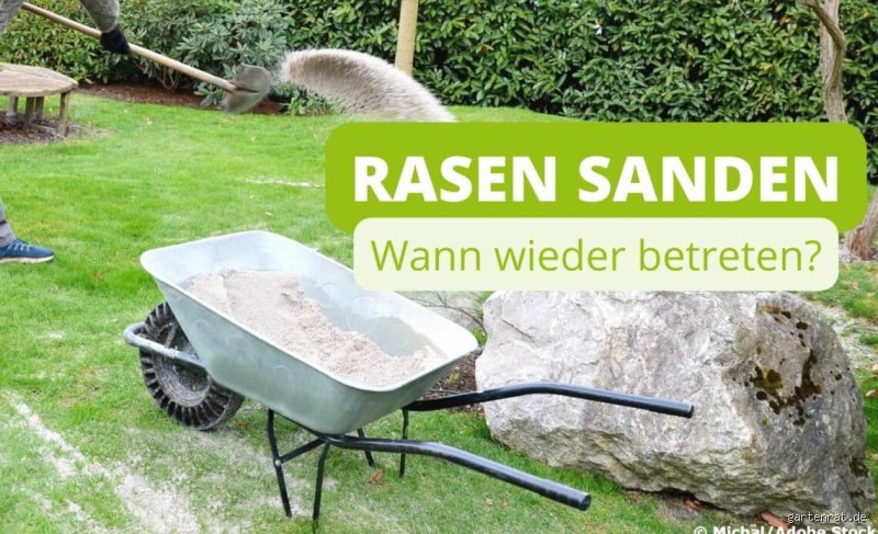 Rasen Sanden: Wie lange nach dem Sanden nicht mähen? Meine Erfahrungen und Tipps