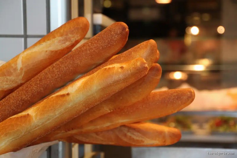 Combien coûte le pain en Algérie ? La vérité derrière le prix de la baguette quotidienne