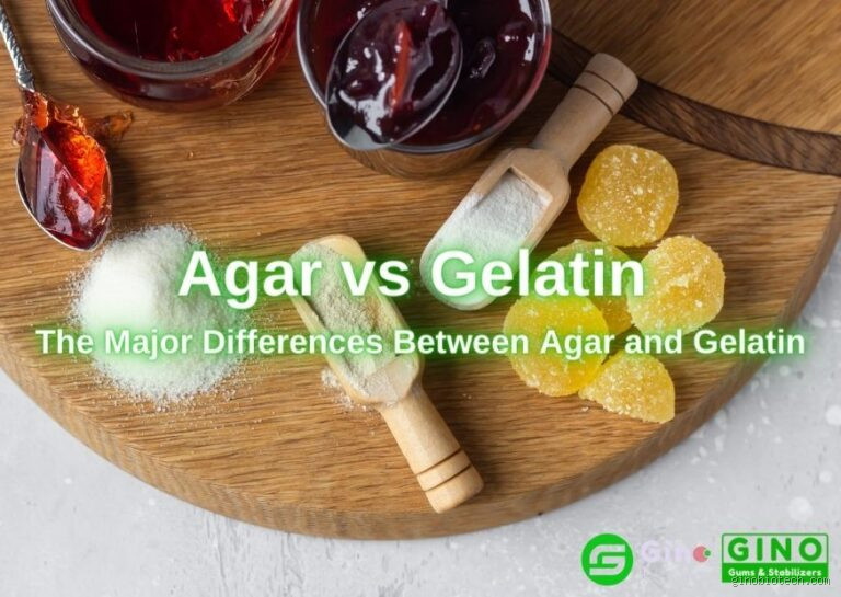 Agar-Agar vs Gélatine : Quelle est la vraie différence ?