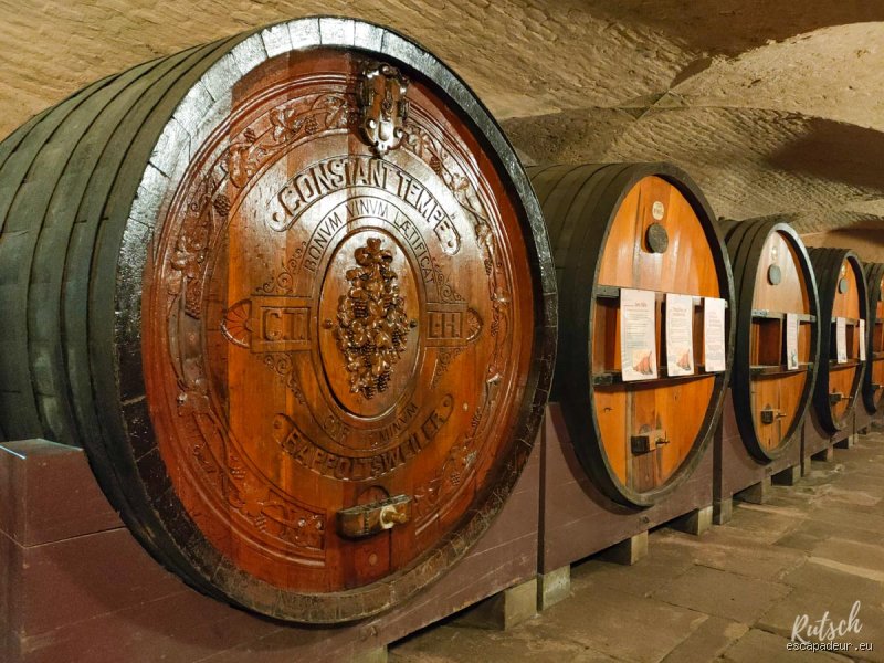 Où se trouve le plus vieux vin du monde ?
