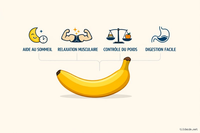 Pourquoi est-il déconseillé de manger des bananes le soir ? Le verdict tranché des experts en nutrition