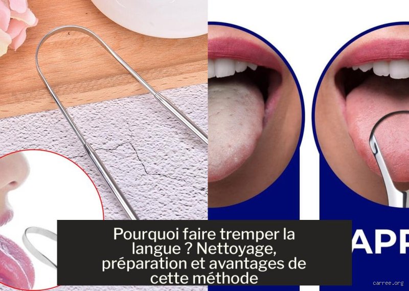 Pourquoi faire tremper la langue : les fondements d'une pratique culinaire et technique essentielle
