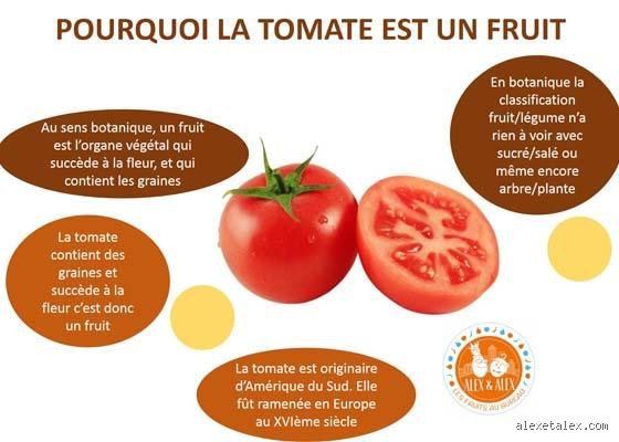 Pourquoi la tomate est un fruit et non un légume ?