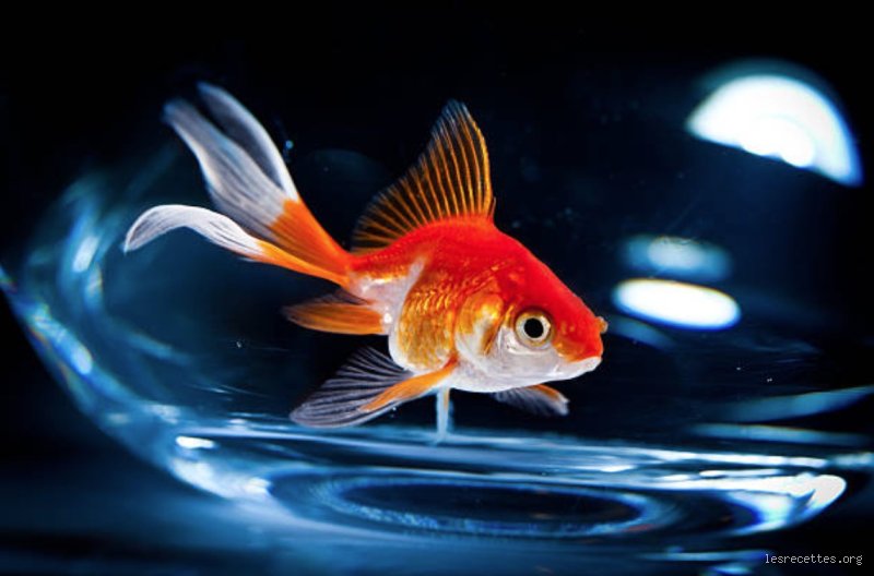 Pourquoi tremper le poisson dans la farine avant la cuisson ?