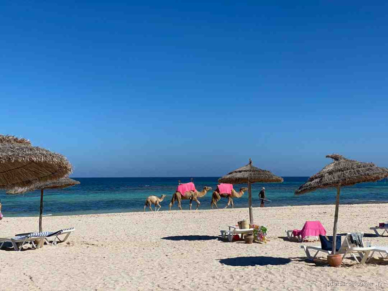 Quand partir pas cher en Tunisie ? Découvrez le meilleur moment pour voyager !