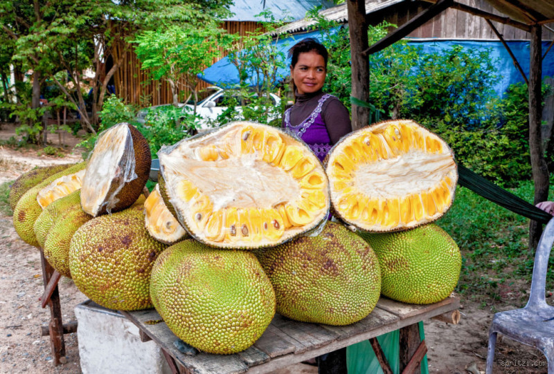 Quel est le fruit le plus gros du monde ?