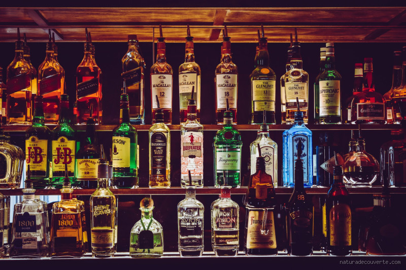 Quel est le premier alcool au monde ? L'histoire fascinante de l'alcool