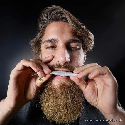 Quel goût a un joint ? Analyse sensorielle et profil aromatique