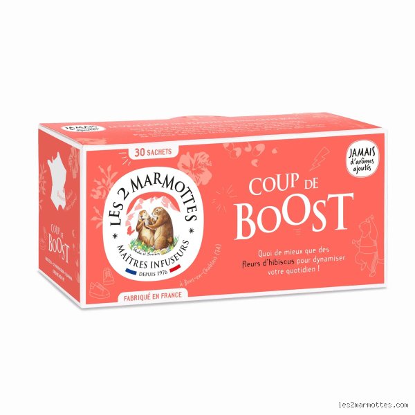Quelle tisane pour renforcer le système immunitaire ? Le guide sans concession pour doper vos défenses naturelles cet hiver