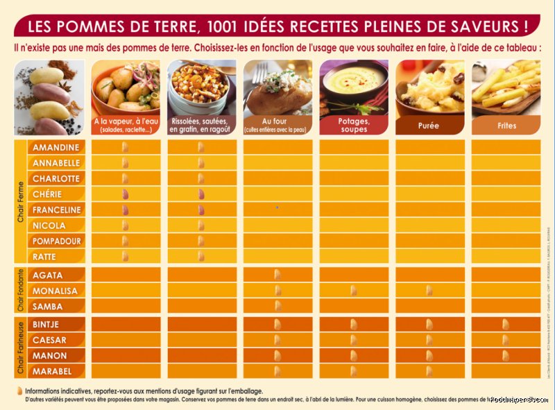Quelles pommes de terre sont les meilleures pour la santé intestinale : le guide complet pour booster votre microbiote sans sacrifier le plaisir