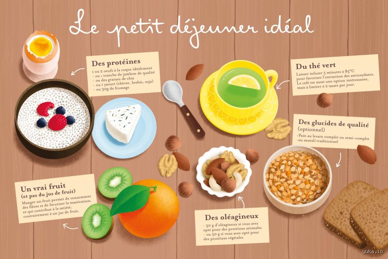 Quoi manger le matin pour tenir toute la matinée sans subir le fameux coup de barre de onze heures