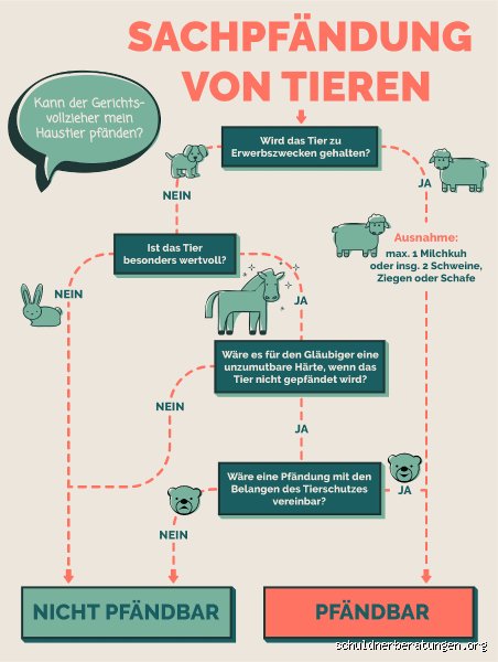 Kann eine Katze gepfändet werden?