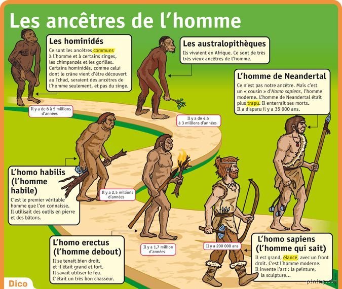 Comment savoir qui sont nos ancêtres ?
