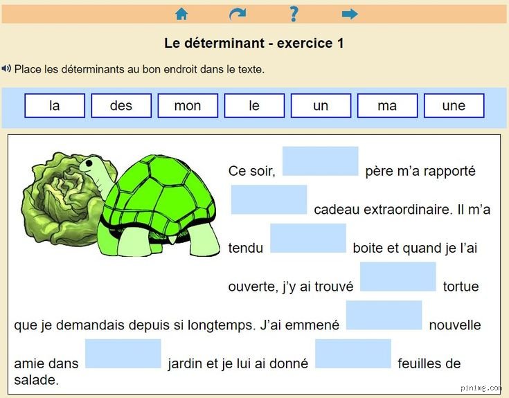 Qu'est-ce que l'on peut mettre devant un nom ?