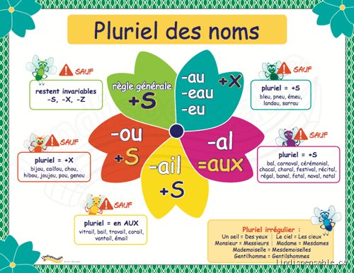 Quel est le pluriel de cérémonial ?