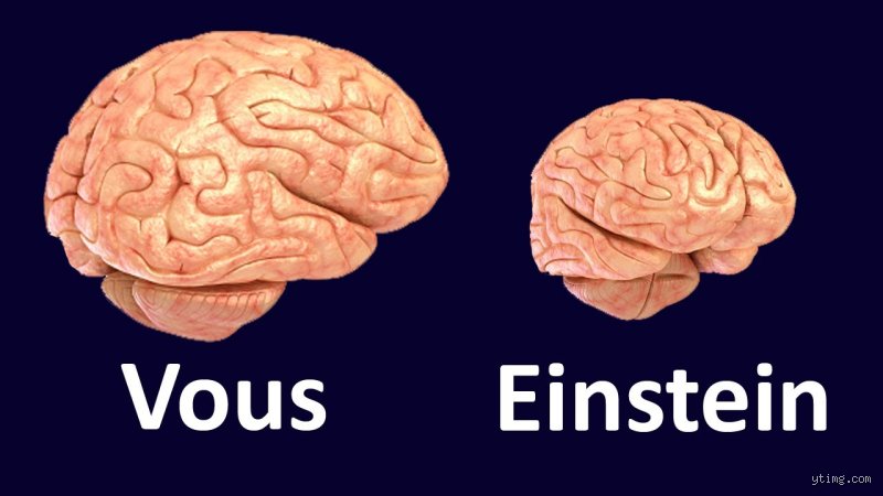 Quel était le niveau de QI d'Einstein ? La vérité sur le score de génie du père de la relativité