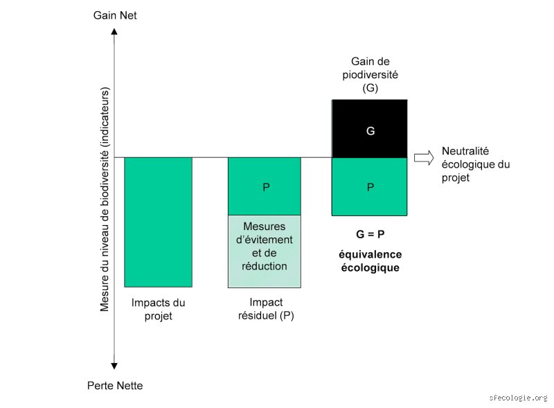 Quelle est la définition de "r34" ? Tout savoir sur ce mème qui a transformé la culture web moderne