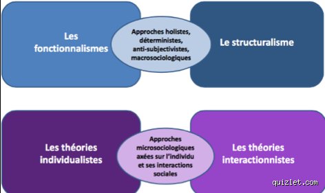Quelles sont les différentes théories en sociologie ? Plongée critique au cœur d'une discipline en guerre perpétuelle