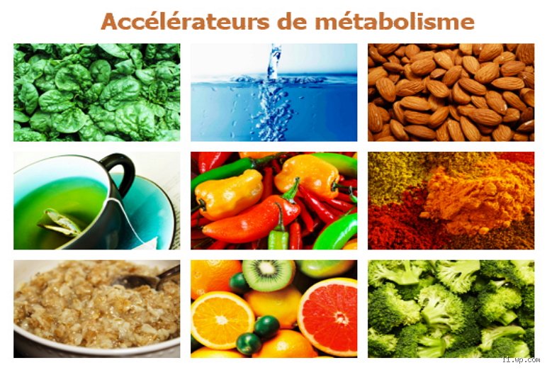 Métabolisme au Ralenti ? Réveillez la Bête qui Sommeille en Vous !