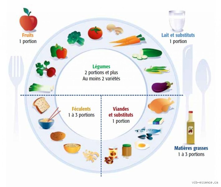 Quel poids d'aliment par jour ?