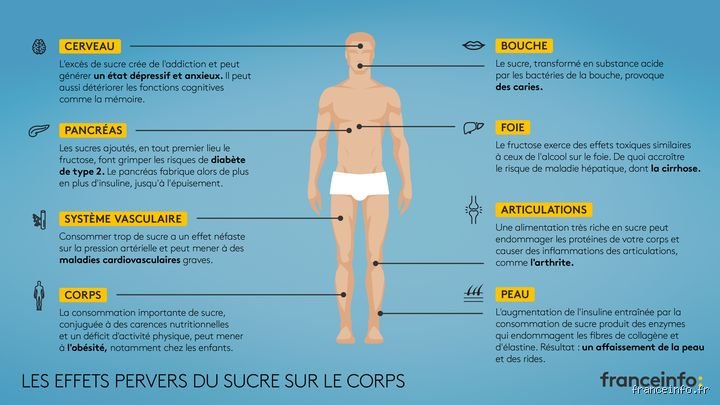 Quels sont les véritables effets de l'abandon des glucides sur votre corps ? Enquête sur un séisme métabolique