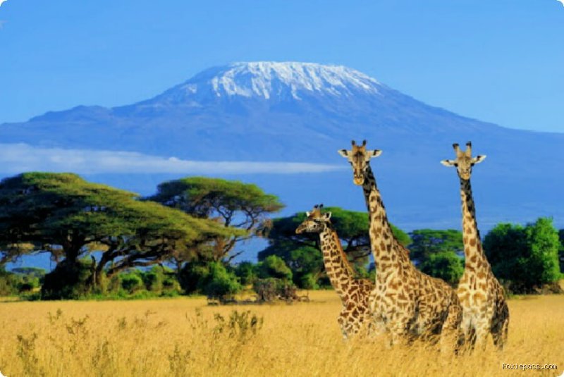 Welches Land ist das schönste in Afrika? Meine persönliche Entdeckung