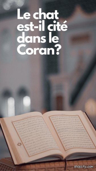 Le chat est-il mentionné explicitement dans le Coran ? Ce que disent les textes sacrés