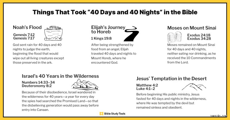 Le mystère des écritures décrypté : How many times does 40 happen in the Bible et pourquoi ce chiffre obsède les exégètes ?