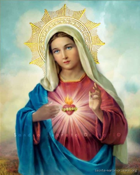 Pourquoi croire en la Vierge Marie : Une démarche personnelle et historique